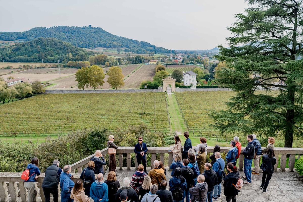 Visit Villa dei Vescovi and its Brolo