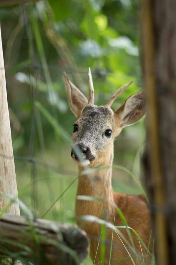Vyno turas – San Gregorio degustacija
