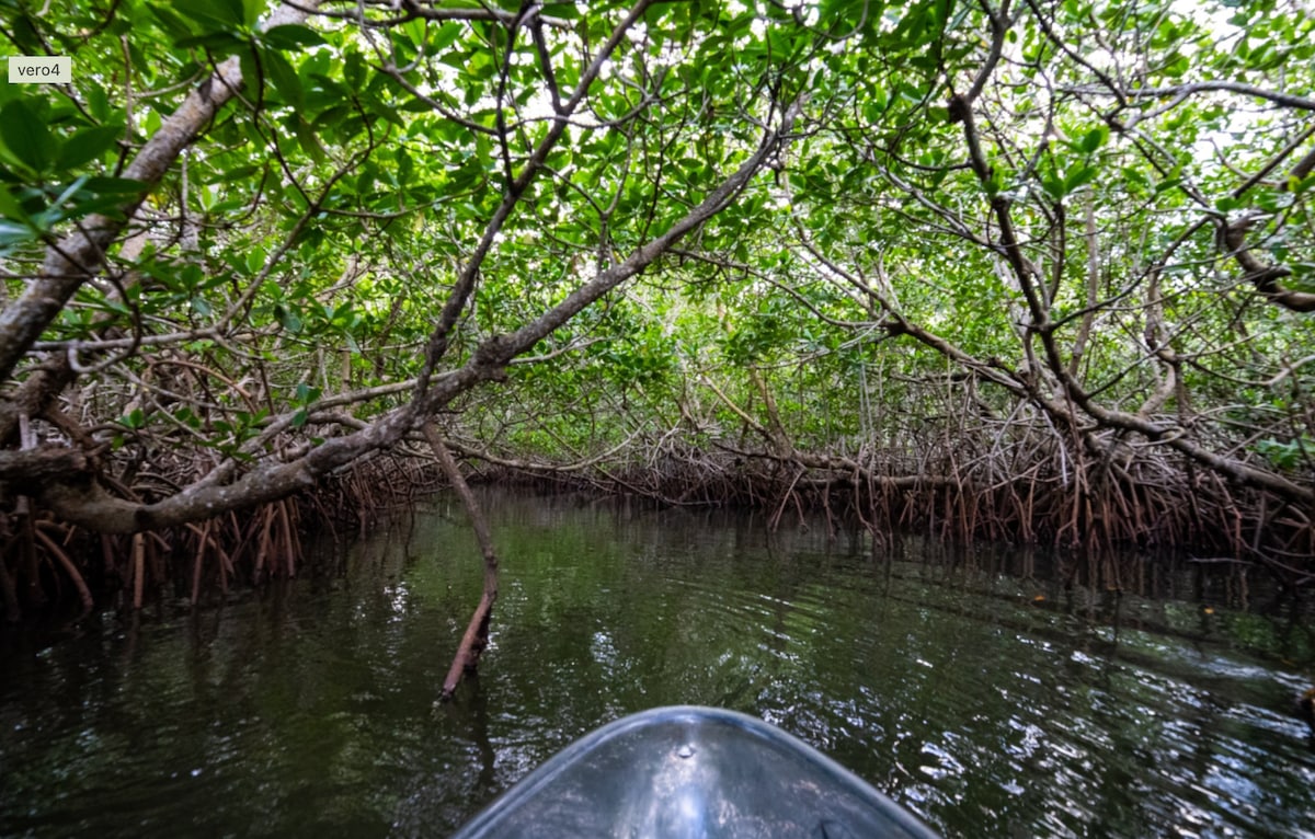 Explore Round Island in a Clear Kayak