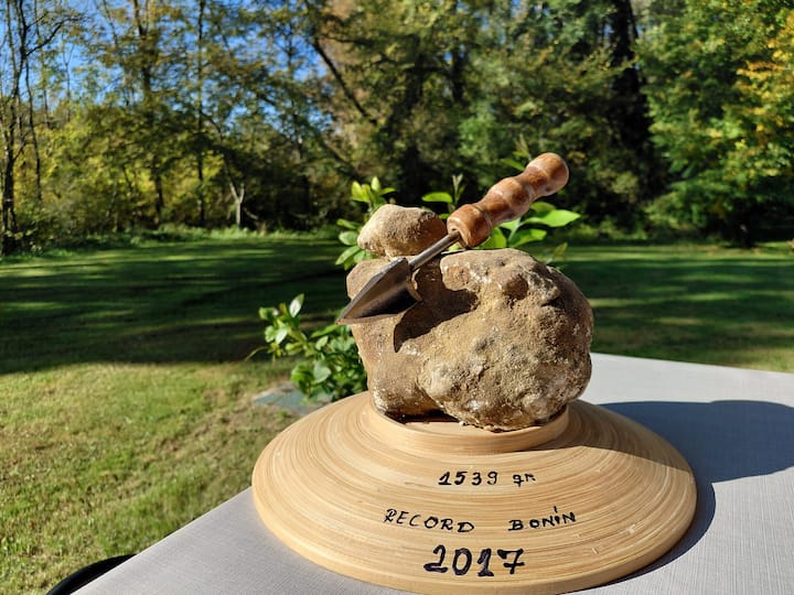 Автентично преживяване в търсене на трюфели