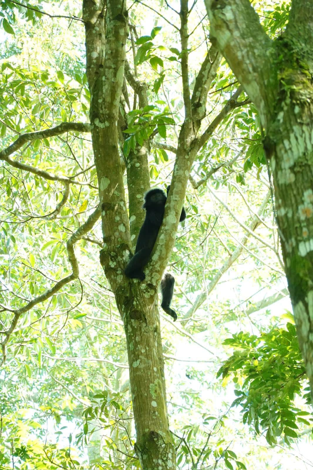 Tetebatu Waterfall Trip