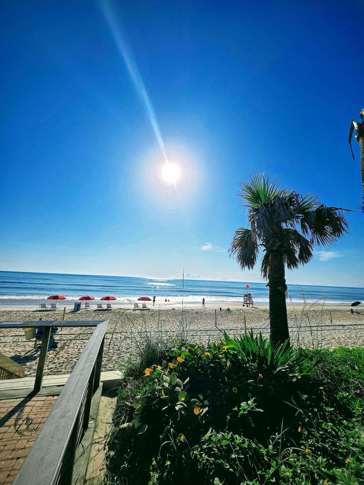 Enjoy a Sunrise Setup w/ Coffee & Discover Turtles