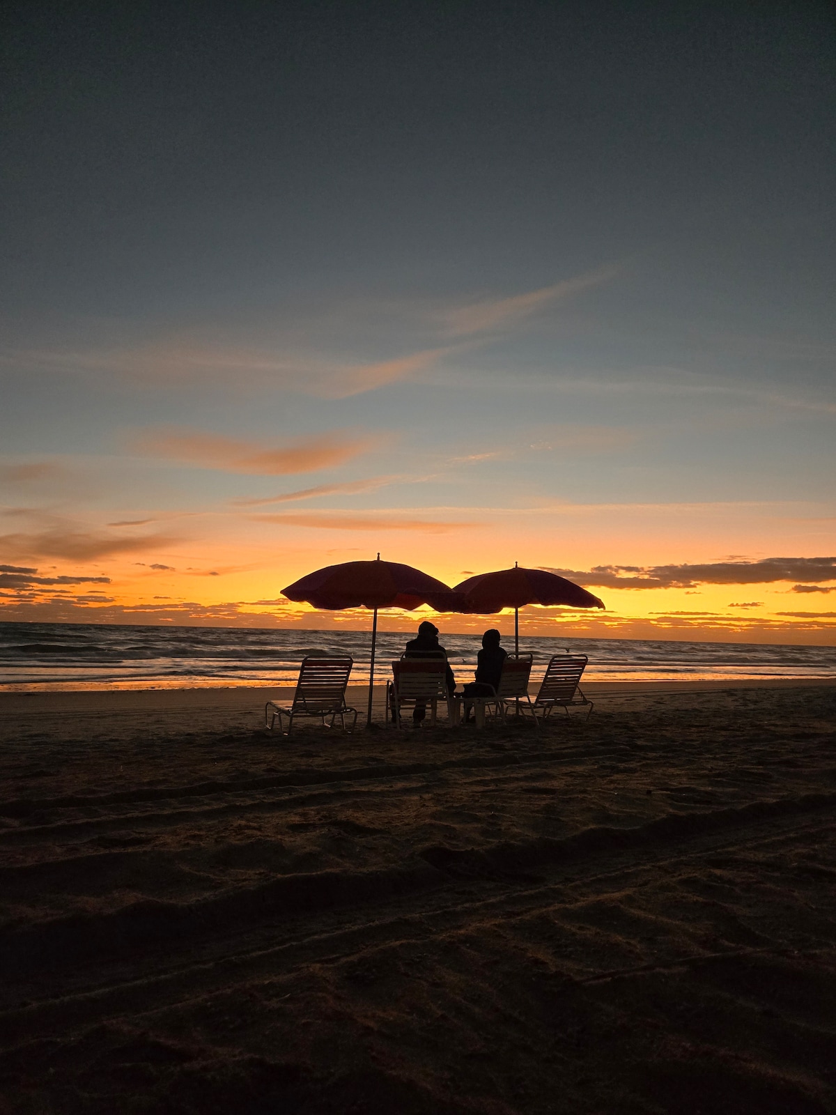 Enjoy a Sunrise Setup w/ Coffee & Discover Turtles