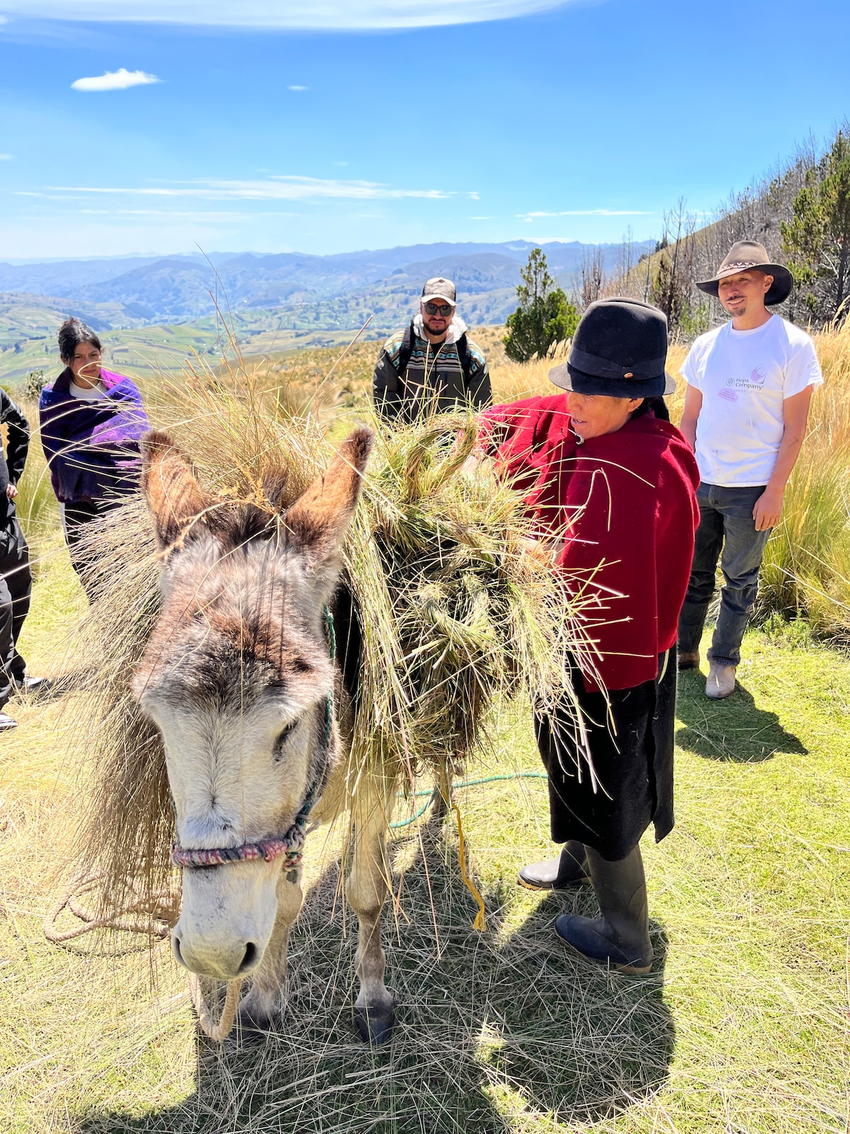 Horseback Riding and Cultural Trekking in Chimborazo