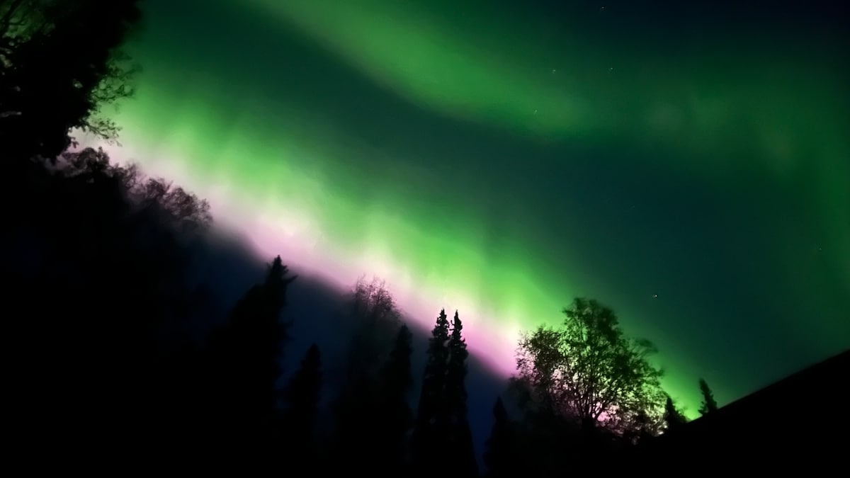 Custom Northern Lights and Alaskan Adventures