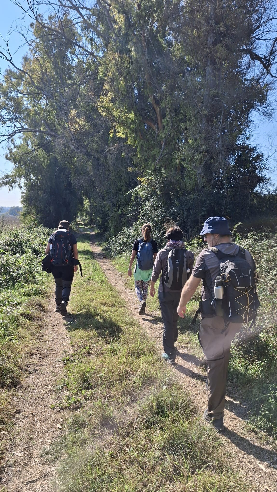 Trekking on the Wolf Trail