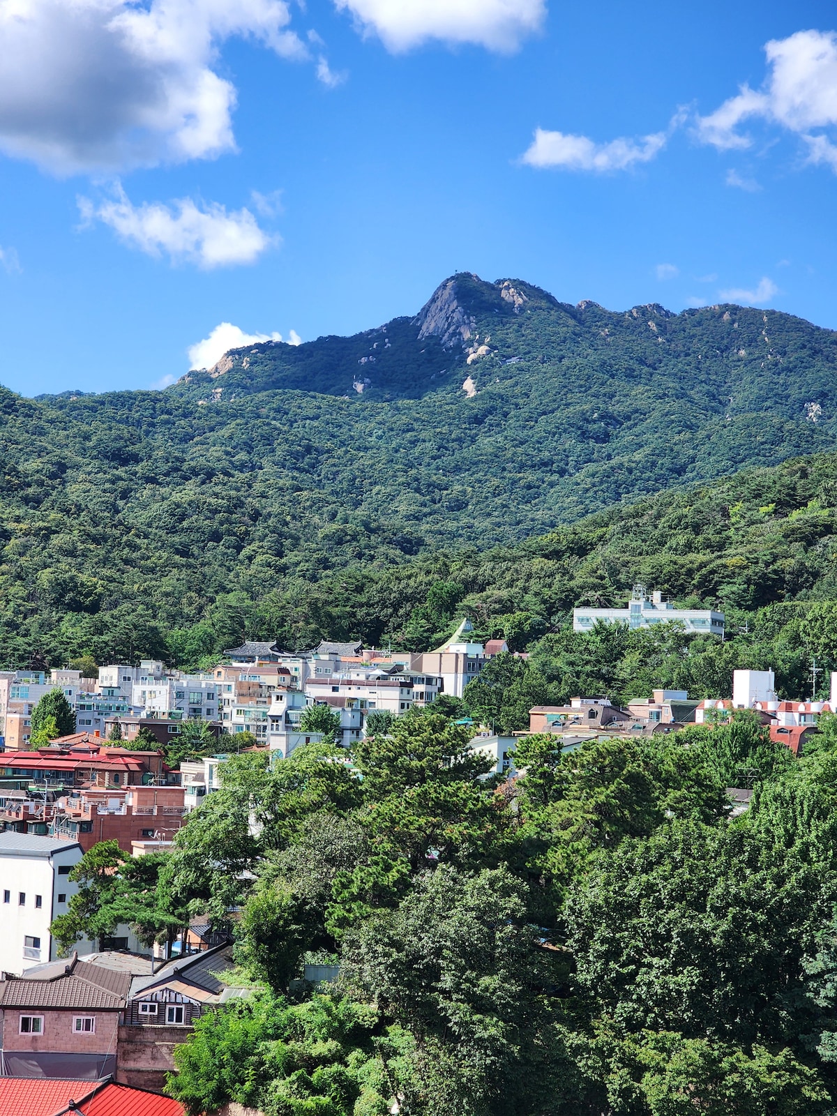 From Peaks to Steam: Bukhansan & Bathhouse Tour