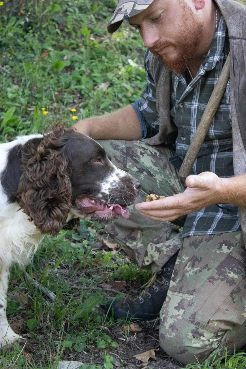 The scent of truffles in the Monferrato hills