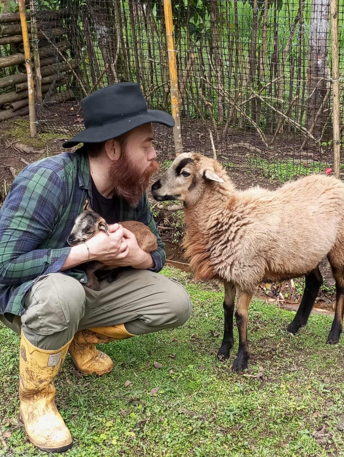 Discover this forest near Mindo Park