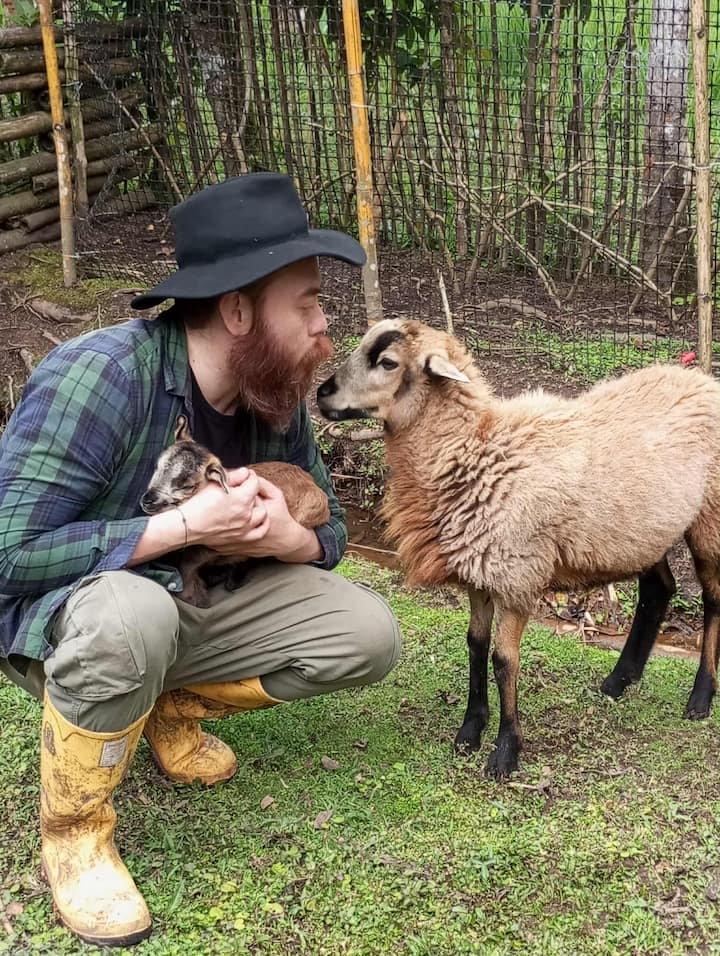 Миндо: Открийте тази гора сред града