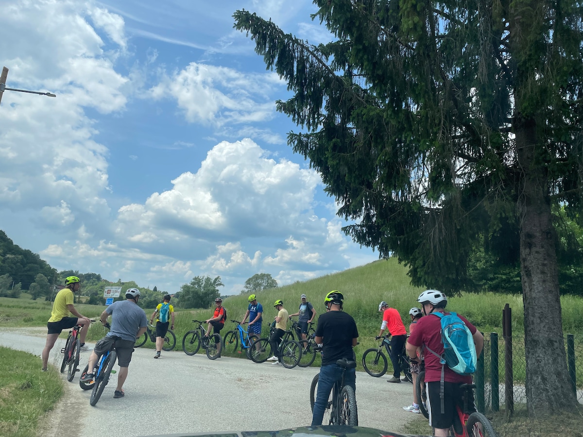 Electric bikes and wine tasting in Oroslavje