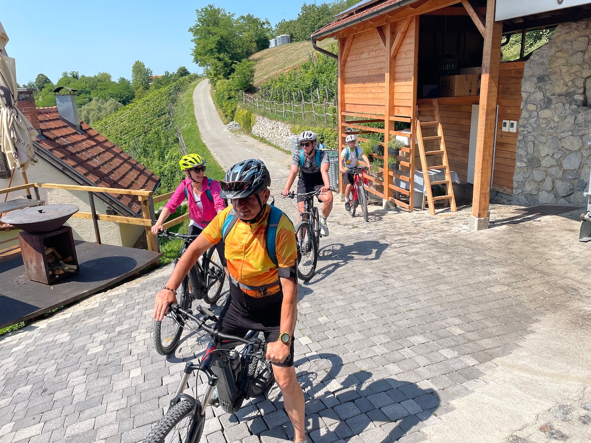 Electric bikes through vineyards with wine tasting