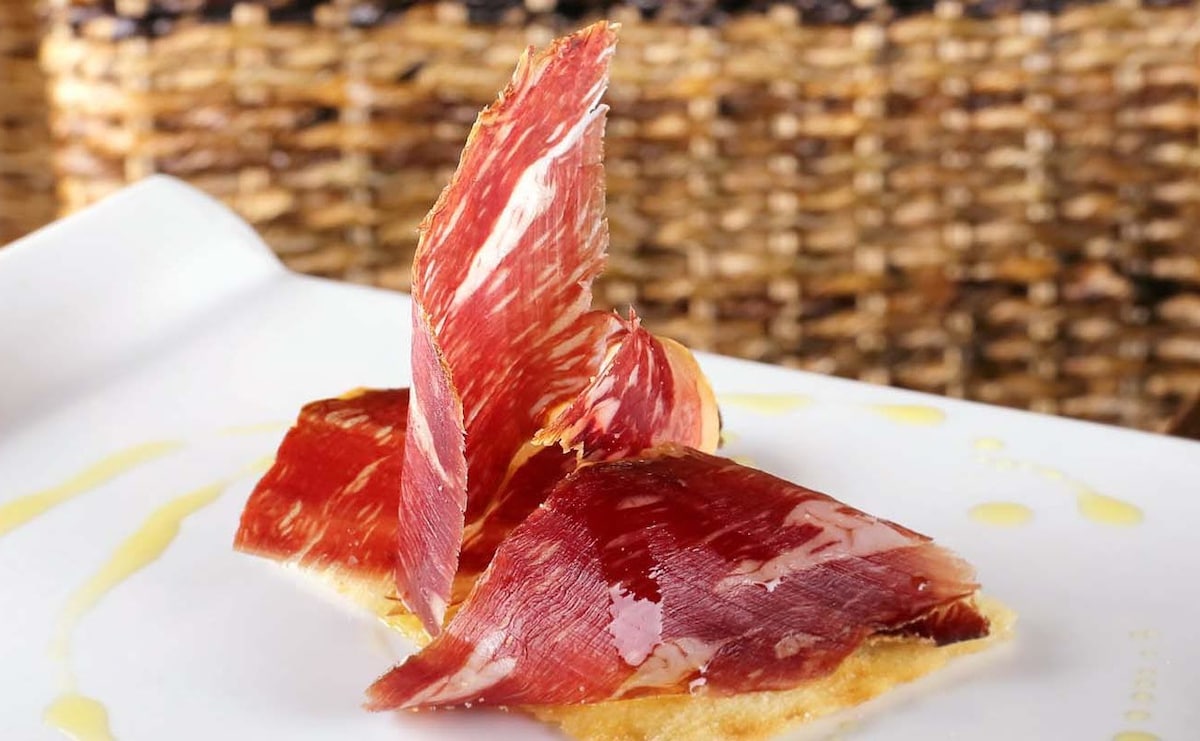 León by Night: wine and tapas under the stars