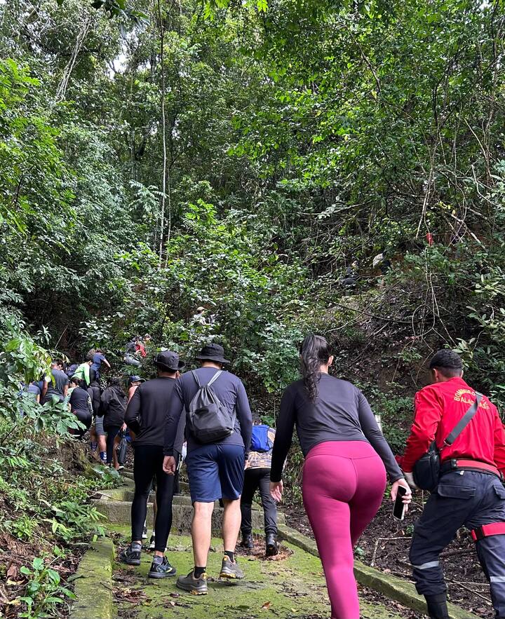 Ecological trail in Fernão Velho