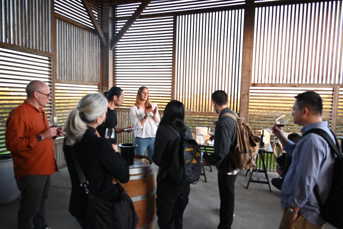 Discover wines with soul in Saint-Émilion