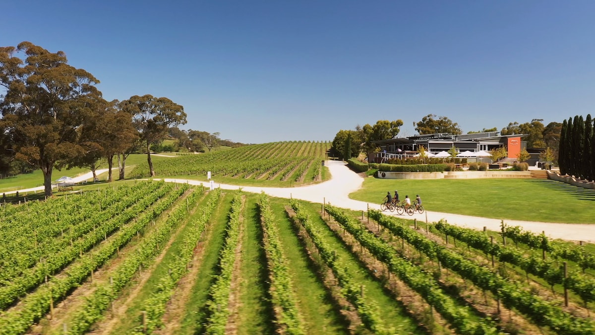 A Taste of Hahndorf Food and Wine E-Bike Tour