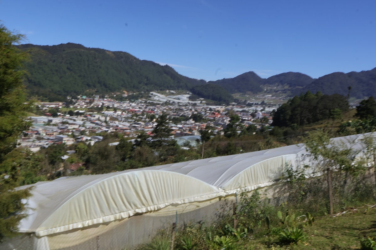 Discover the Flowers and Culture Trail