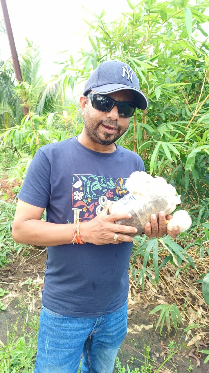 Experience a hands-on mushroom growing workshop