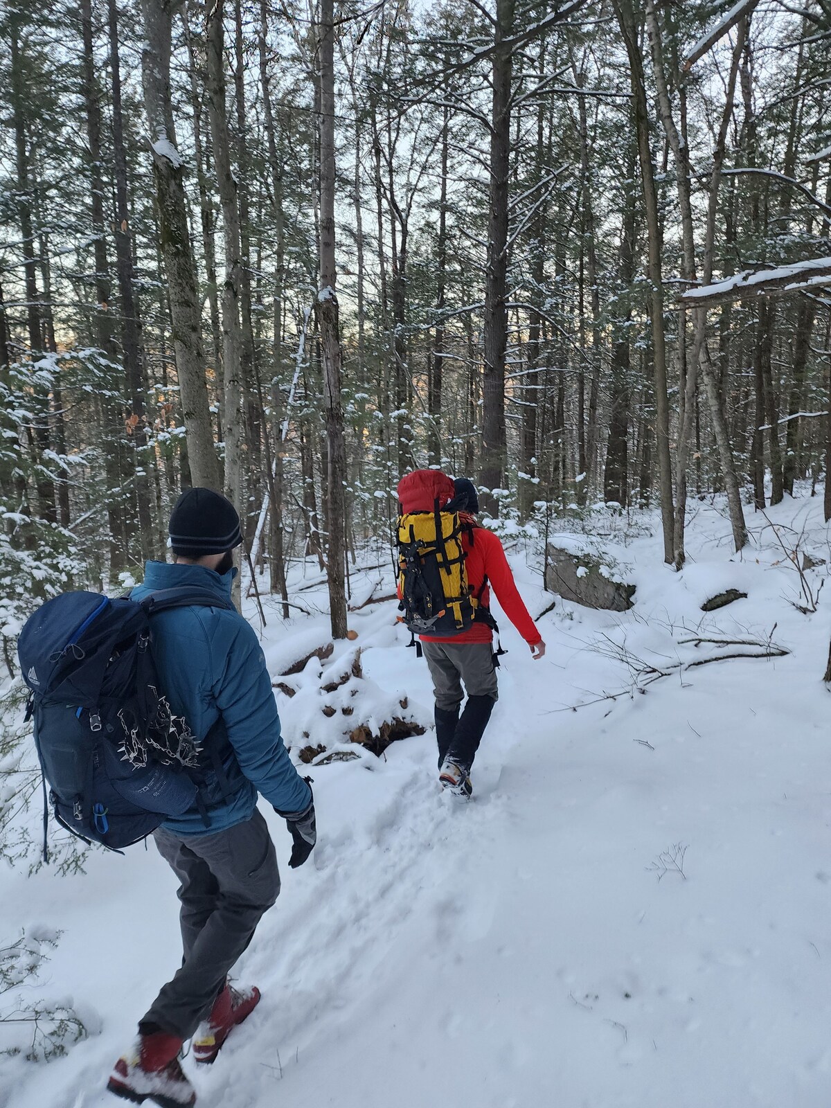 Maine Winter Adventure: Guided Snowshoe Trek