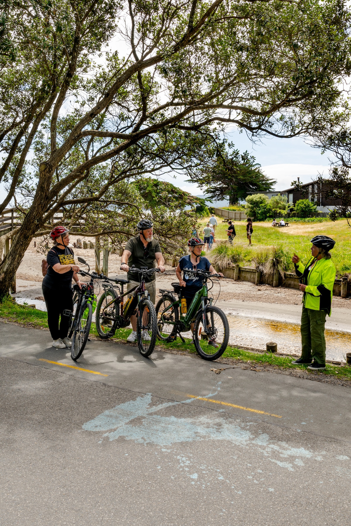 Guided E-bike cycle tour of Kapiti