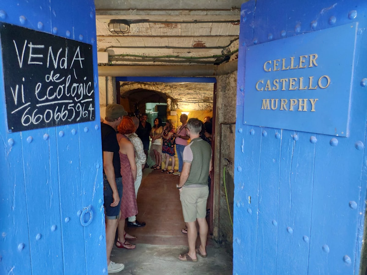 Artisanal Wine Tasting in a 400-Year-Old Winery