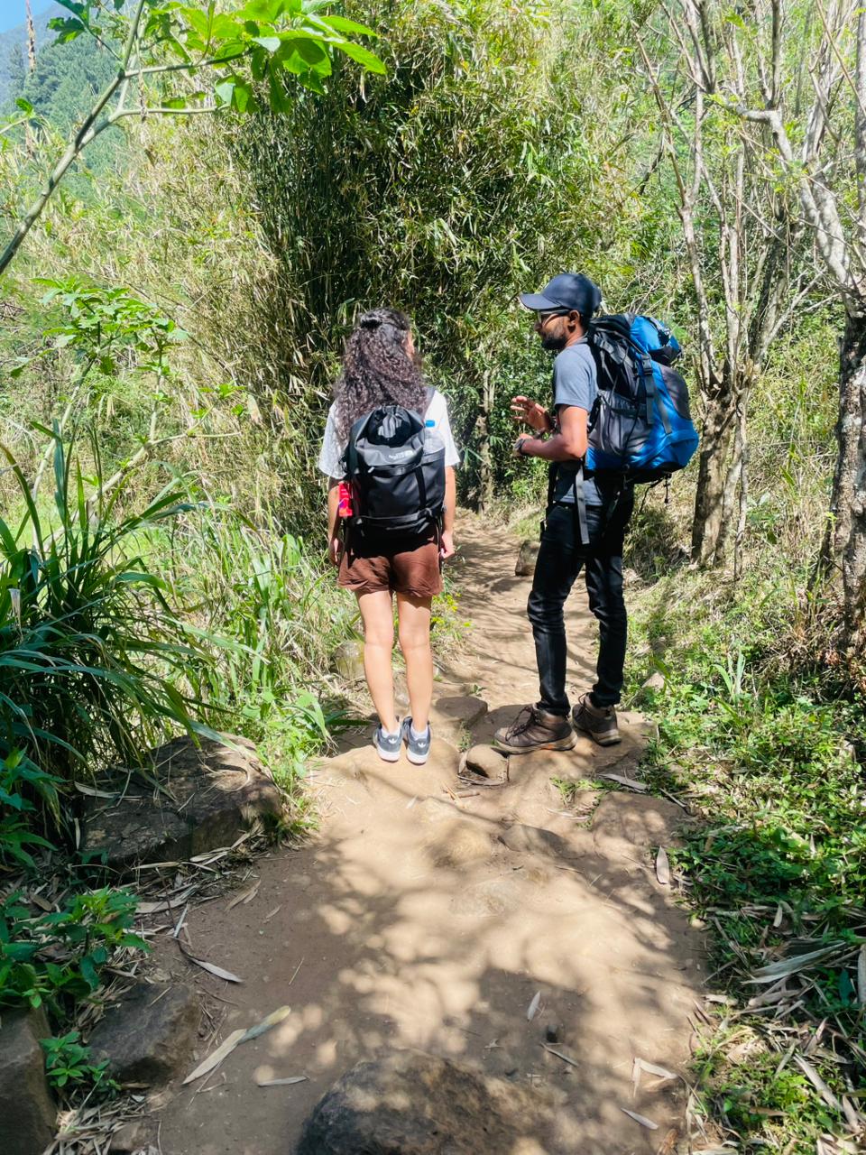 Explore the Magic of Ella Waterfalls