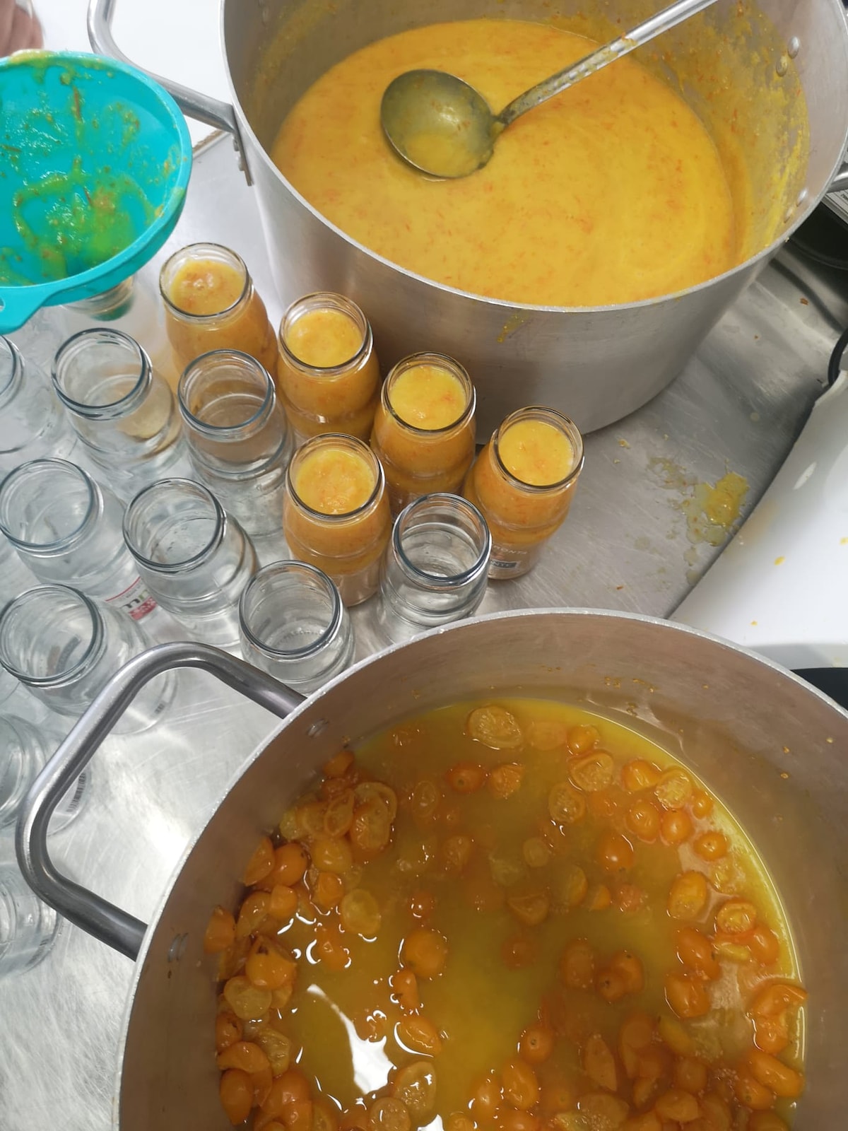 Spaghetti allassassina and evolutions