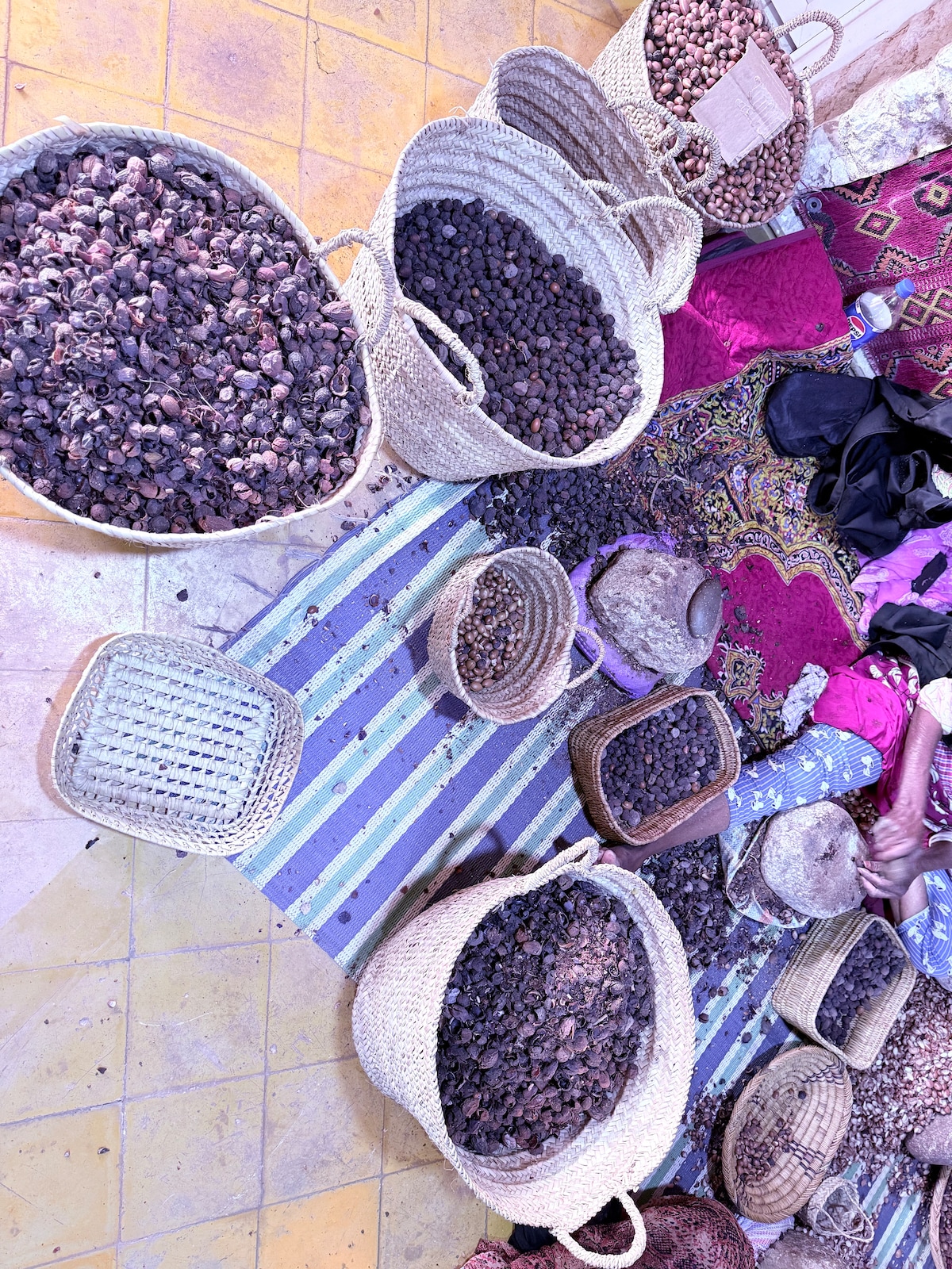 Craft pure argan oil with artisans