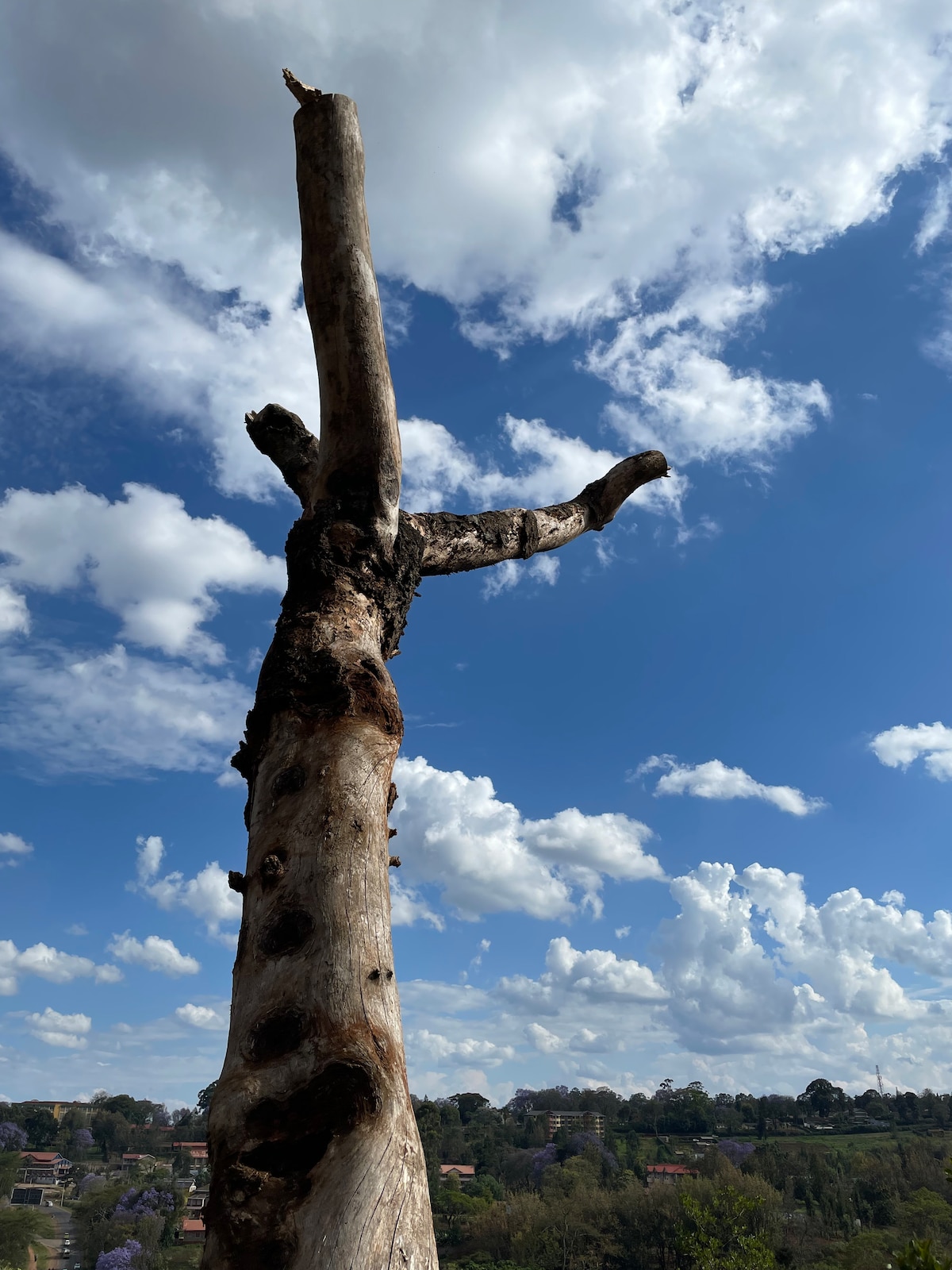 Conquer Mt Satima, Highest Peak of the Aberdares
