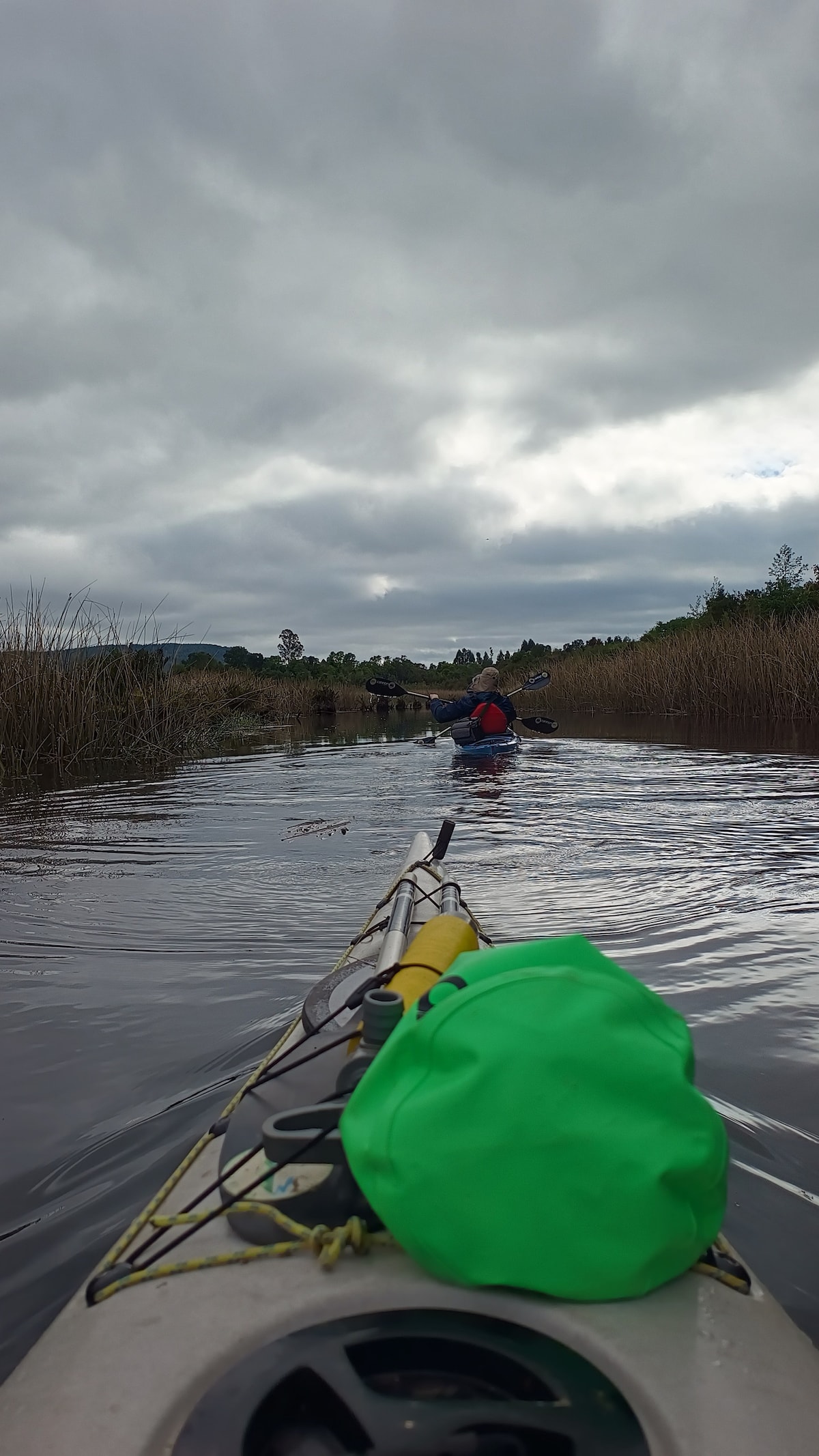 Kayaking in San Ramón Wetland