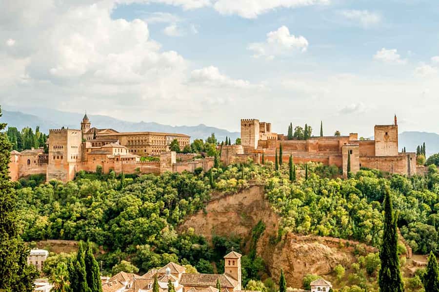 Palisis Test Experience