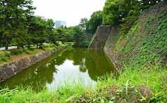 Paseo por el Palacio Imperial de Tokio con un guía local