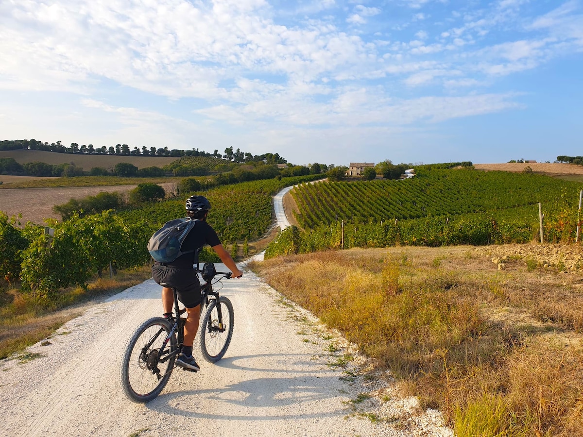 E-bike tour: discovering the hills of infinity