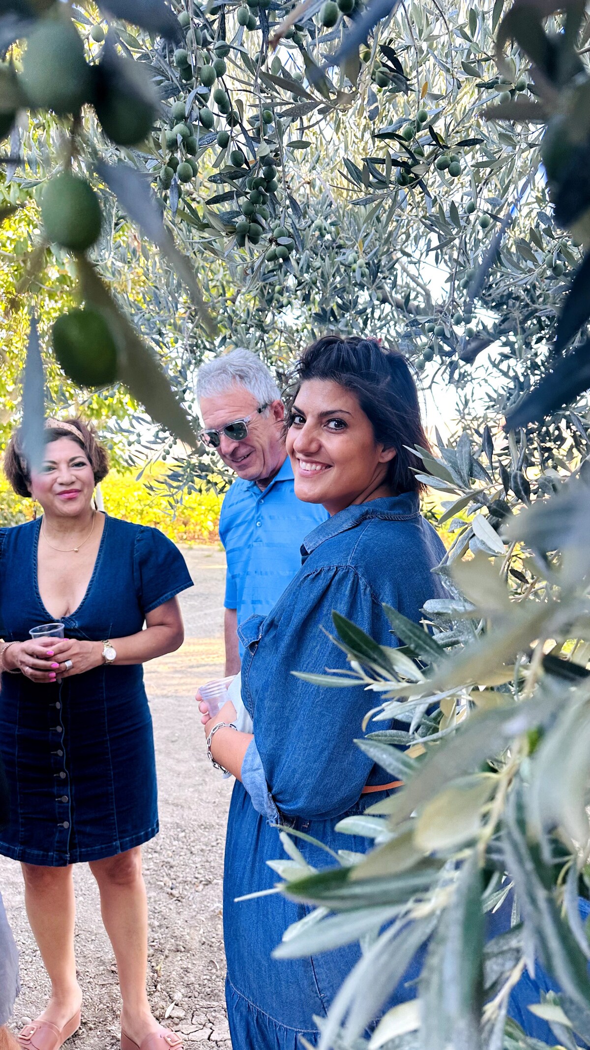Heritage Olive Grove Tasting: Nocellara del Belìce