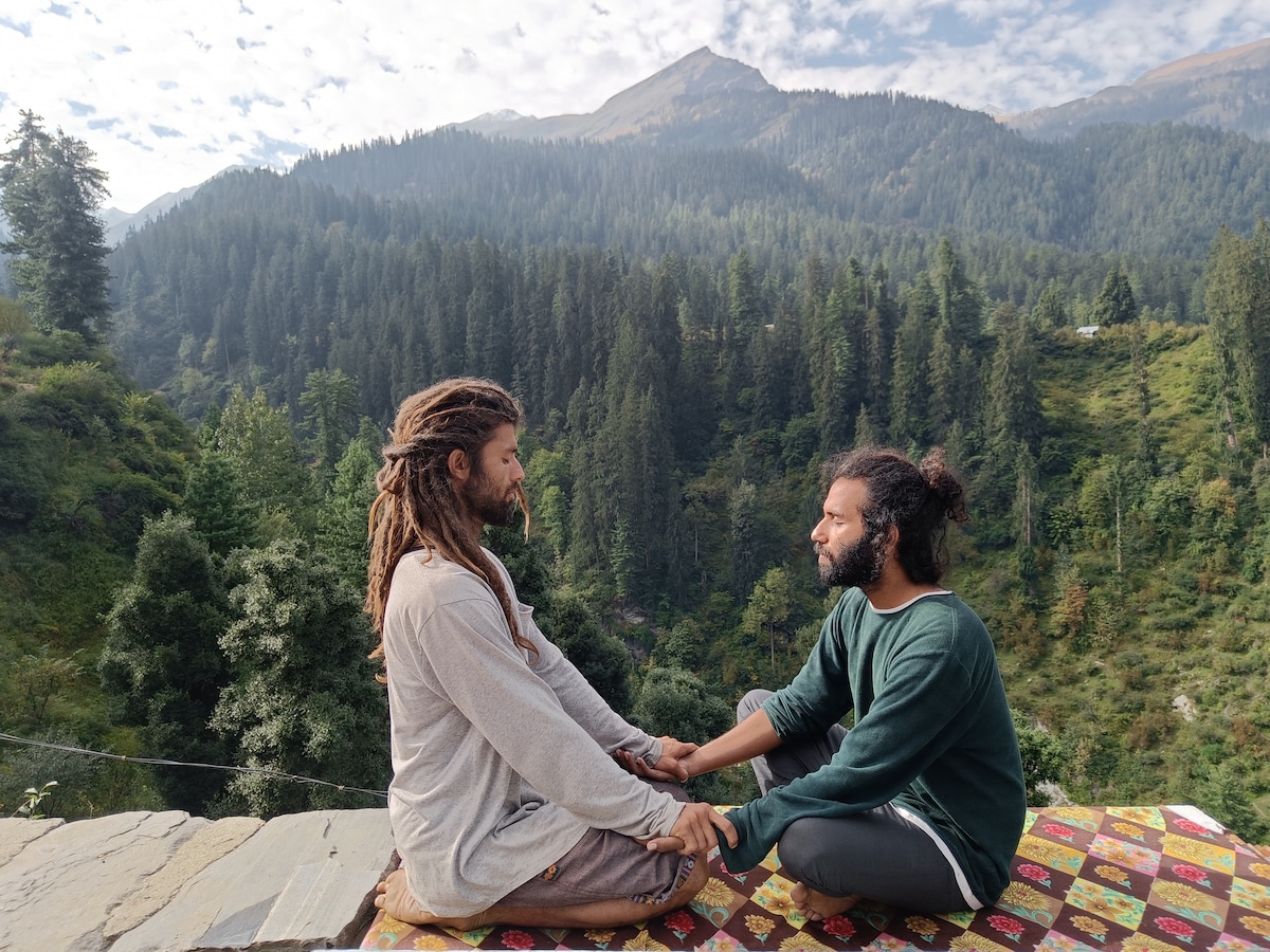 Discover fairy forests with a mountaineer