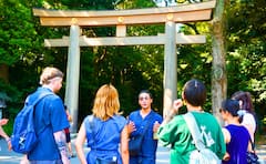 Descubre el Santuario Meiji y Harajuku
Cultura callejera
