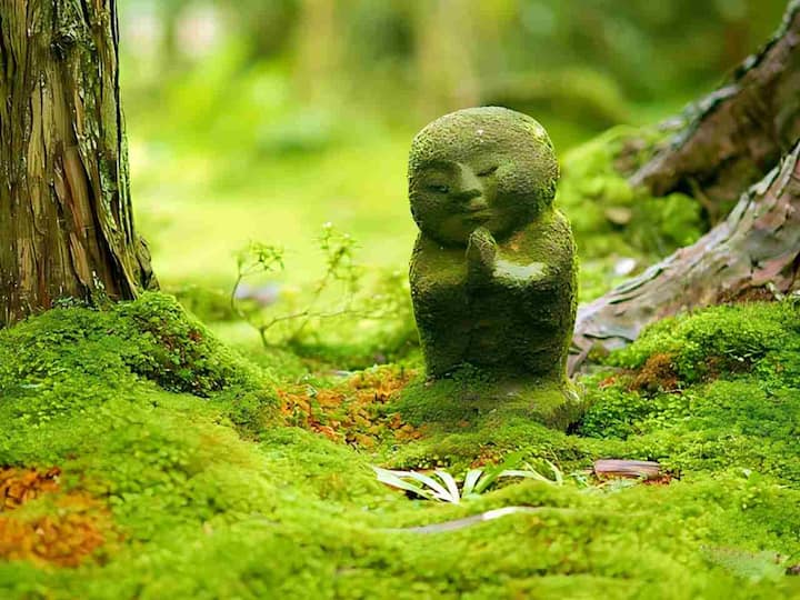 La naturaleza oculta de Kioto: Ohara, Kibune y Arashiyama