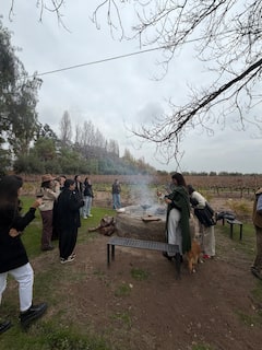在1886年精品酒庄品尝阿根廷烤肉和葡萄酒