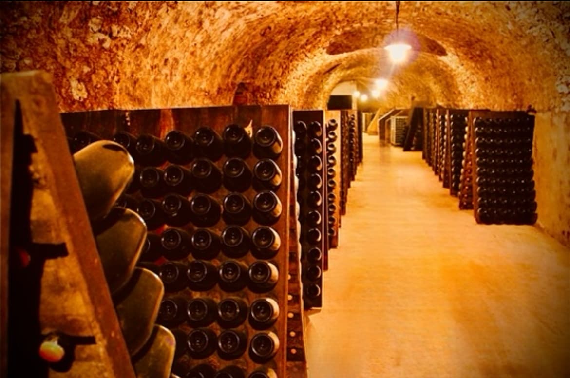 Immersive Cellar Tour