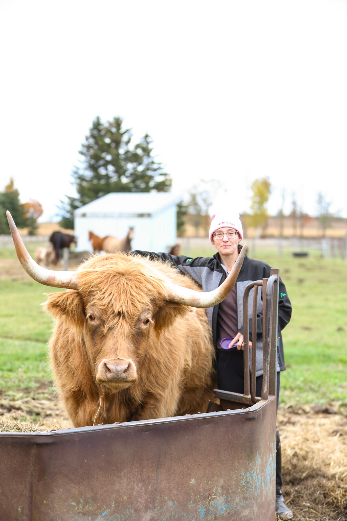 Learn about horse care with an equine scientist