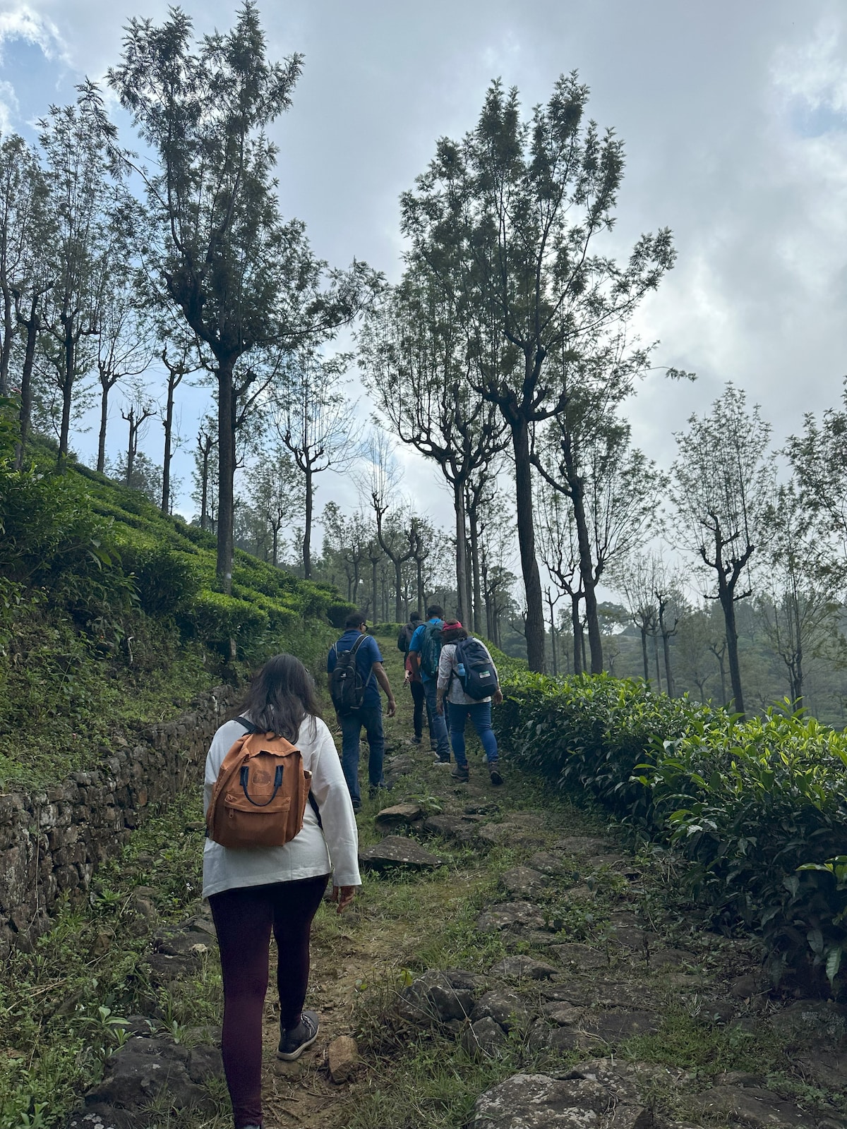 Explore the Hidden Trails of Coonoor with a Local