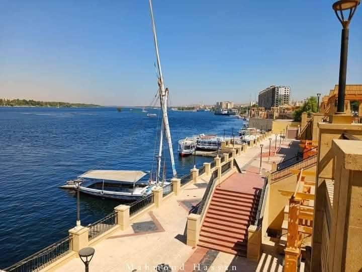 Devora comida callejera en callejones escondidos