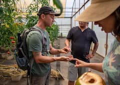 לטעום את אגוזי המקדמיה, הקוקוס והעגבניות הטובים ביותר בטבע