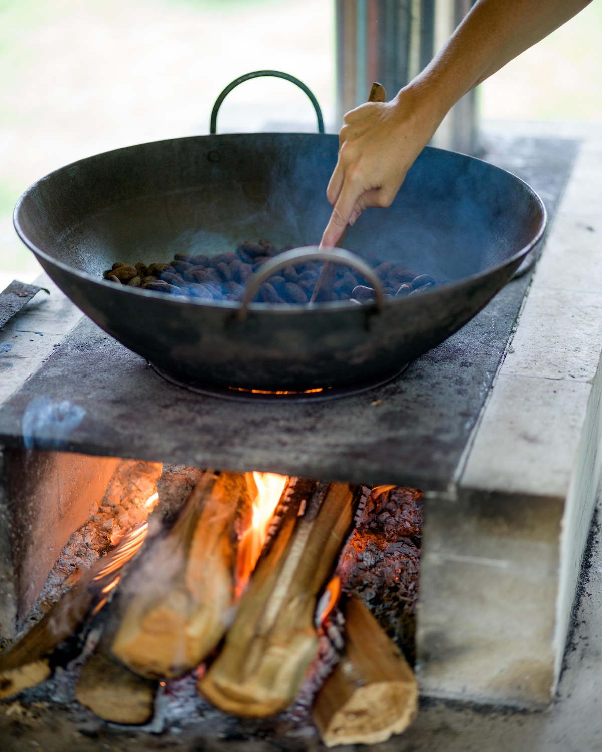 Tree-to-Bar Chocolate Experience in Costa Rica