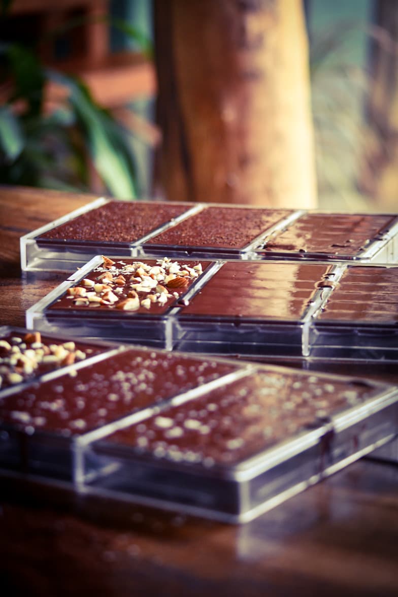 Tree-to-Bar Chocolate Experience @Finca La Amistad