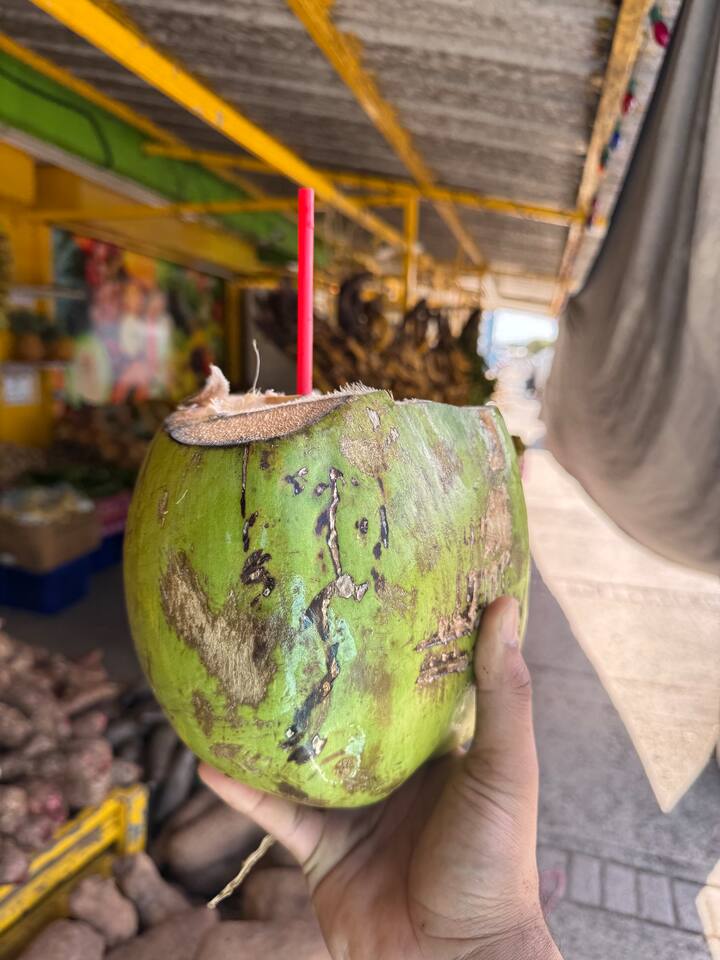 Mëso spanjisht me Clifford