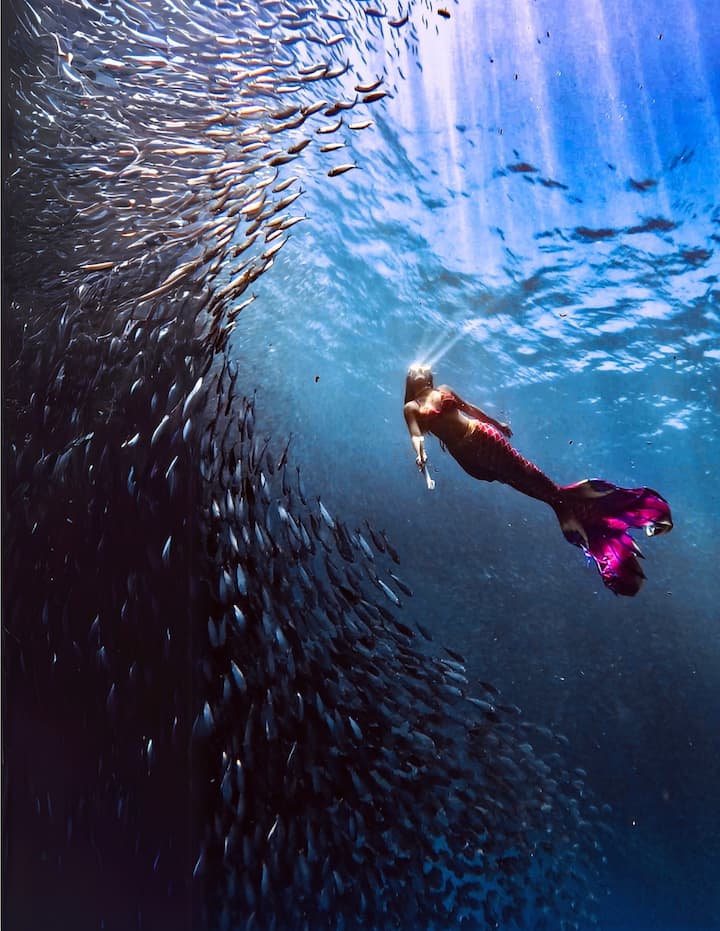 Русалка със сардини и морски костенурки