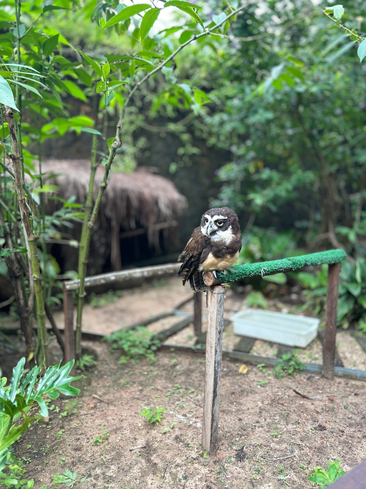 Immersive walk through the heart of Belém