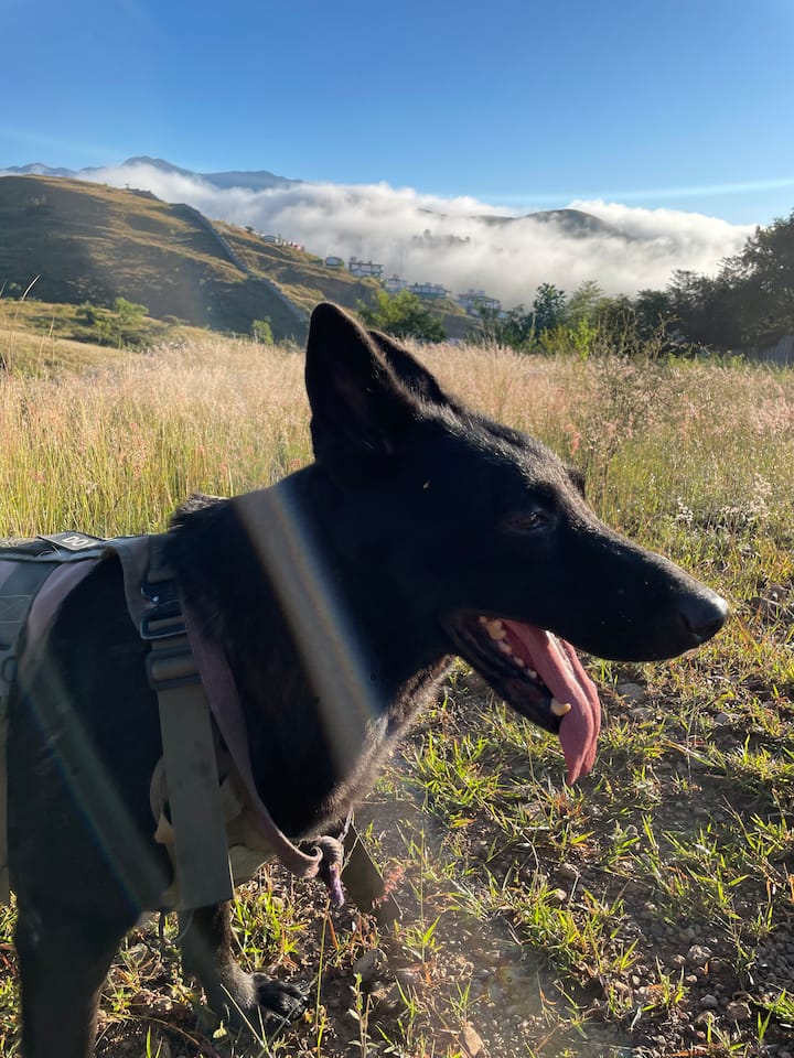 Разходка по хилядолетна пътека до Монте Албан