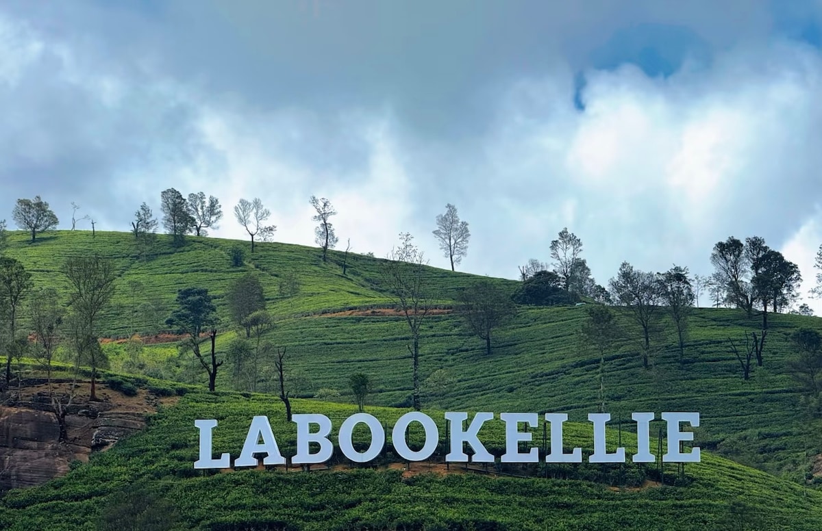 Twin Tea Trails Labookele & Blue Field